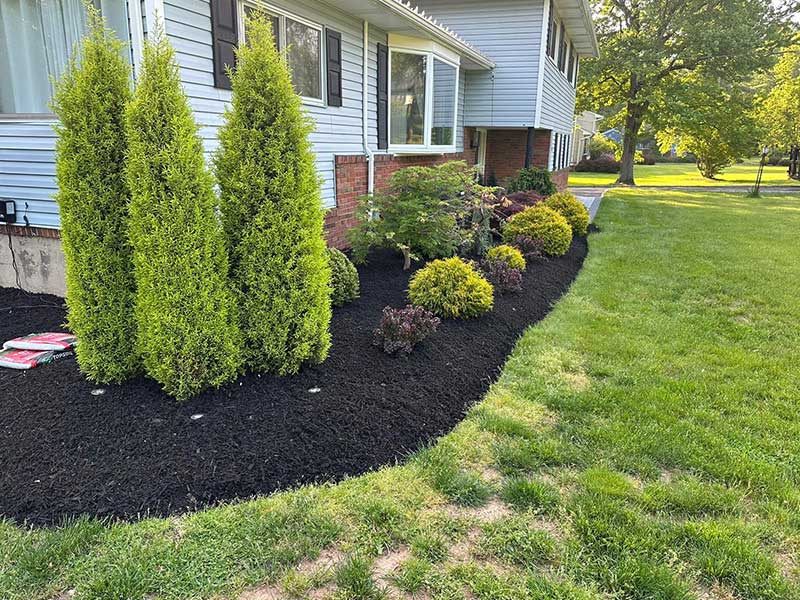 Mulch-&-Plants-Plainfield-NJ Mulch-&-Plants-Plainfield-NJ