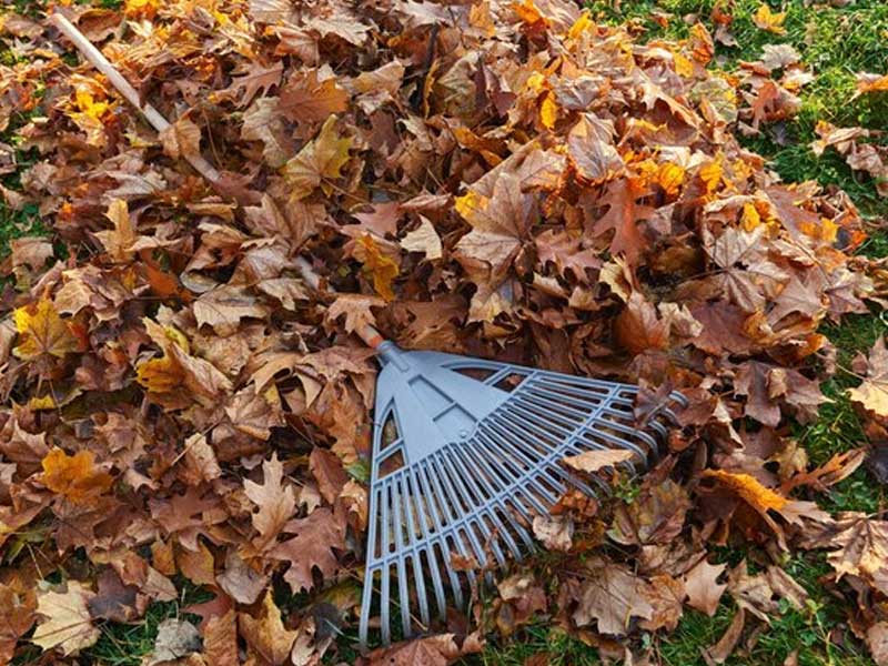 season-clean-up-Plainfield-NJ season-clean-up-Plainfield-NJ