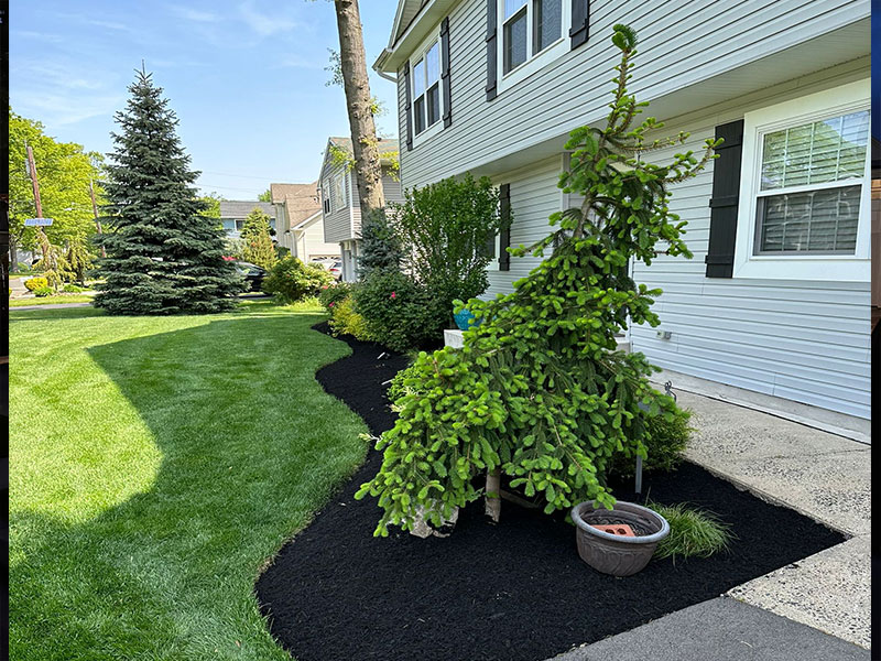 Mulch-&-Plants-services Mulch-&-Plants-services